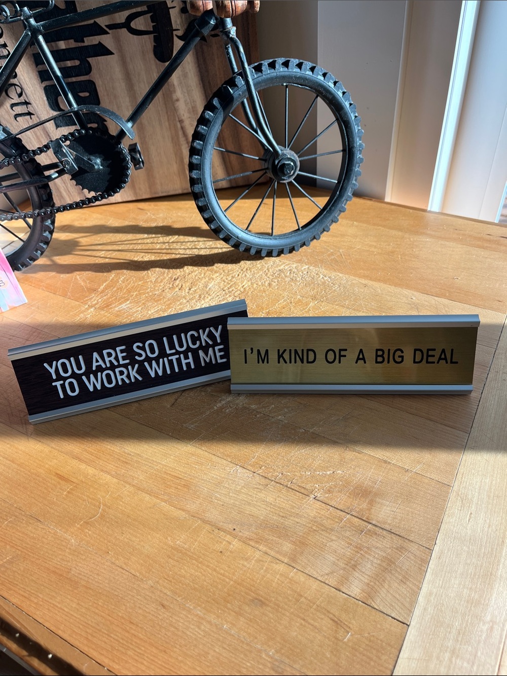 Desk Name Plates - Black & Gold Funny Office Signs